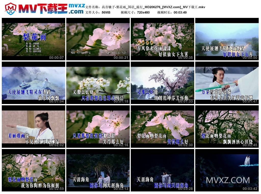 高音敏子-梨花雨_国语_流行_MD206276